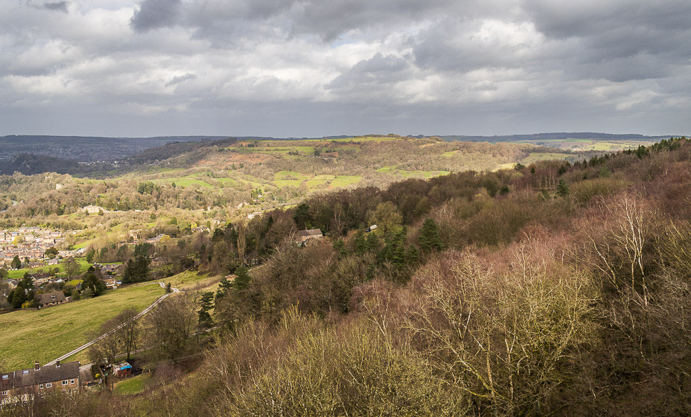 Coumbs Wood